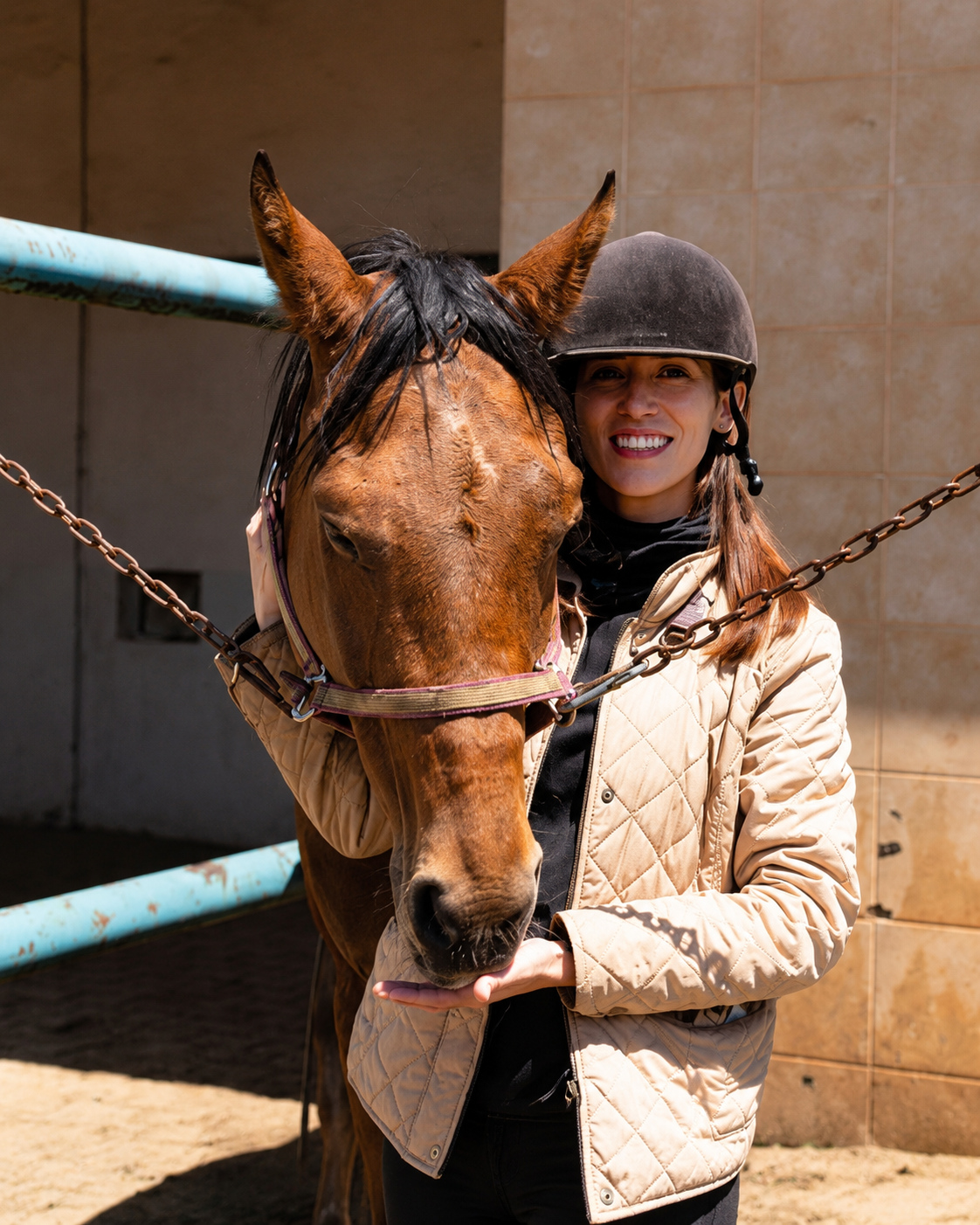 Caballos alimentándose tranquilos en el estable